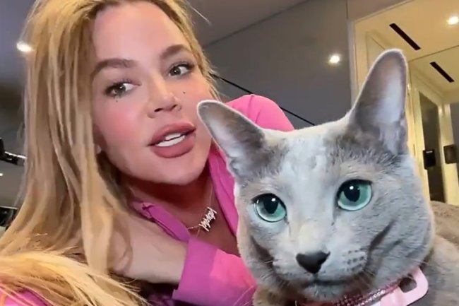 Khloe Kardashian Accused of FaceTuning Her Cat — Really