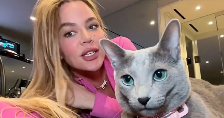 Khloe Kardashian Accused of FaceTuning Her Cat — Really