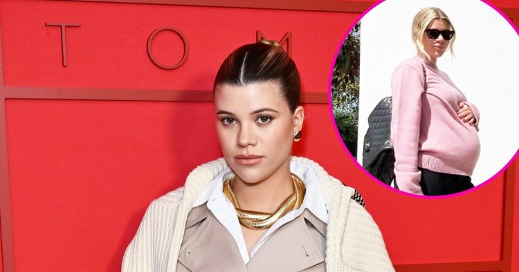Pregnant Sofia Richie Shows Off Her Spring Style in Plush Pink Sweater