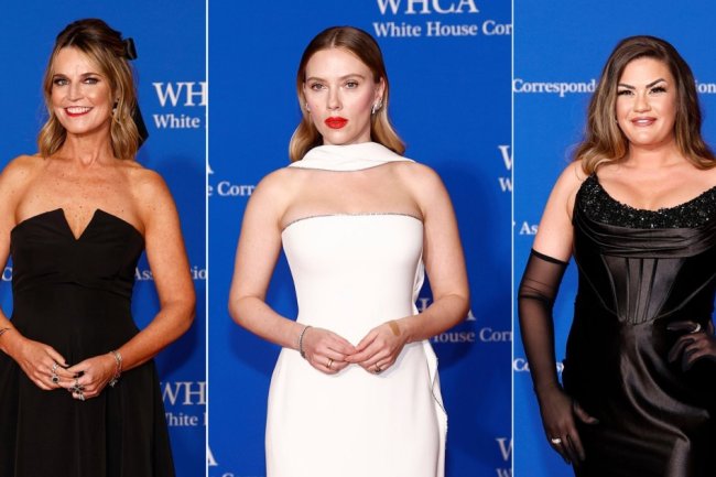 White House Correspondents' Dinner 2024 Red Carpet: See What the Stars Wore